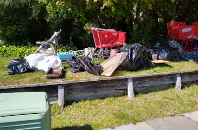 3 shopping carts, a baby stroller, and miscellaneous trash